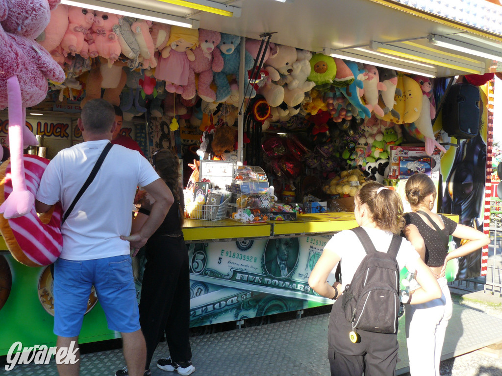 Gwarki. Co dla najmłodszych?