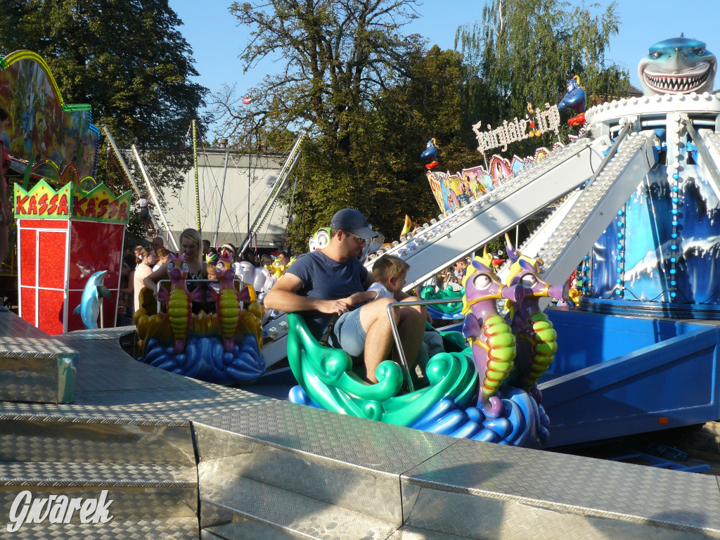 Gwarki. Co dla najmłodszych?