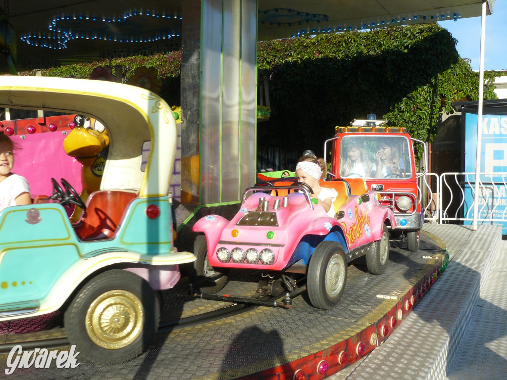 Gwarki. Co dla najmłodszych?