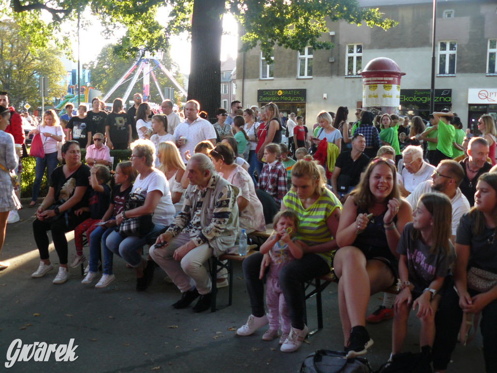 Gwarki. Co dla najmłodszych?