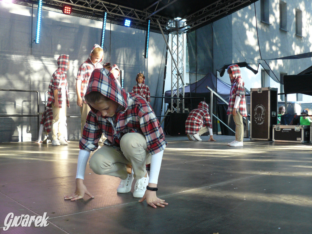 Gwarki. Co dla najmłodszych?