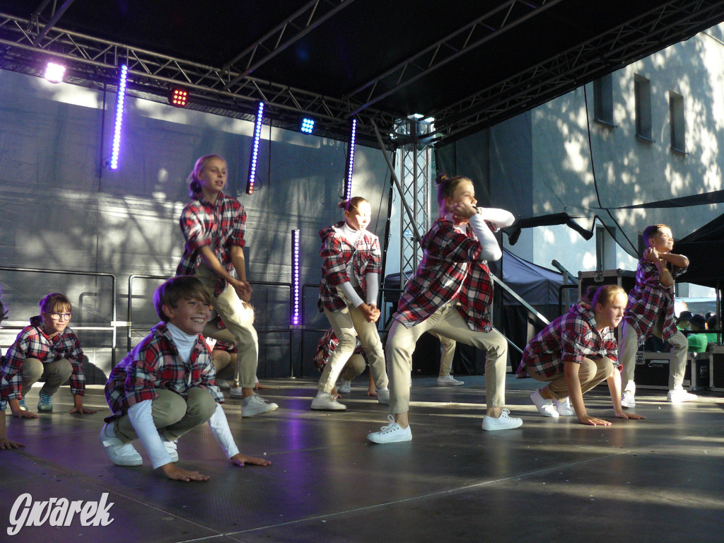 Gwarki. Co dla najmłodszych?