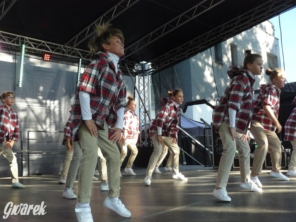 Gwarki. Co dla najmłodszych?