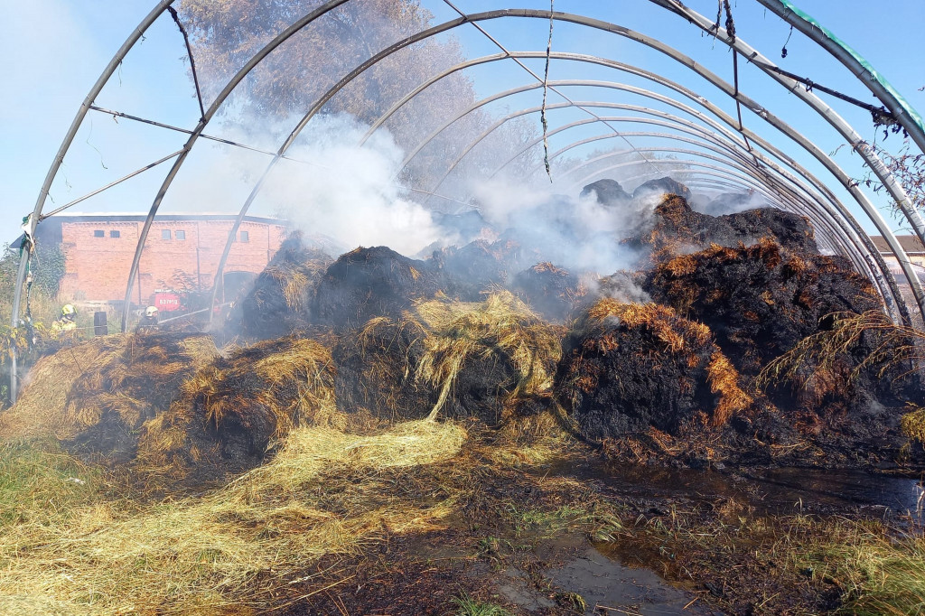 Pożar słomy przy stadninie. Akcja trwała 8 godzin