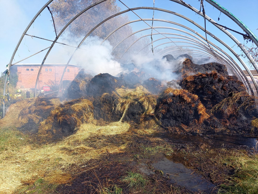 Pożar słomy przy stadninie. Akcja trwała 8 godzin