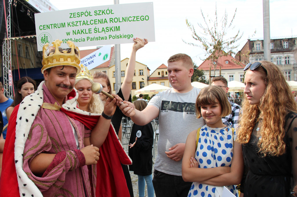 Selfie z Sobieskim zamiast historycznego pochodu