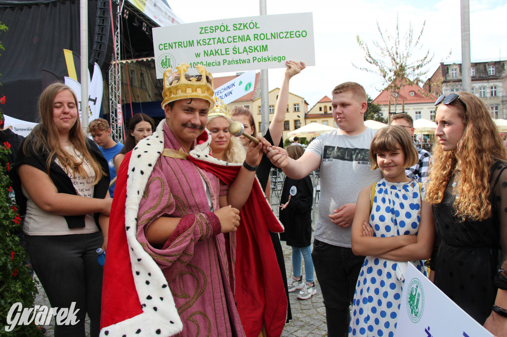 Selfie z Sobieskim zamiast historycznego pochodu