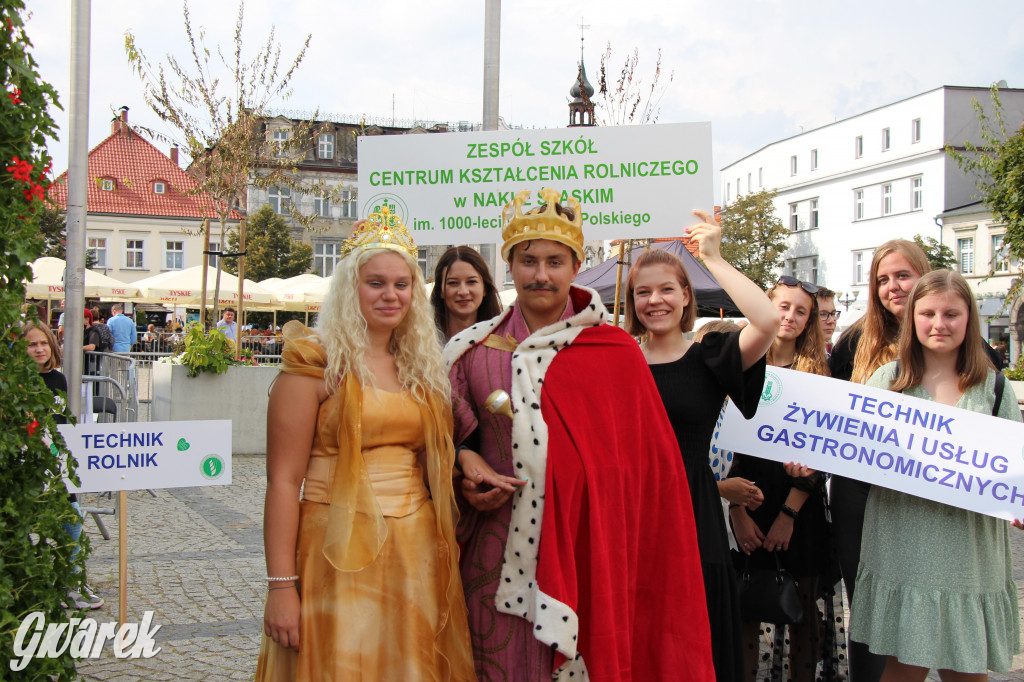 Selfie z Sobieskim zamiast historycznego pochodu