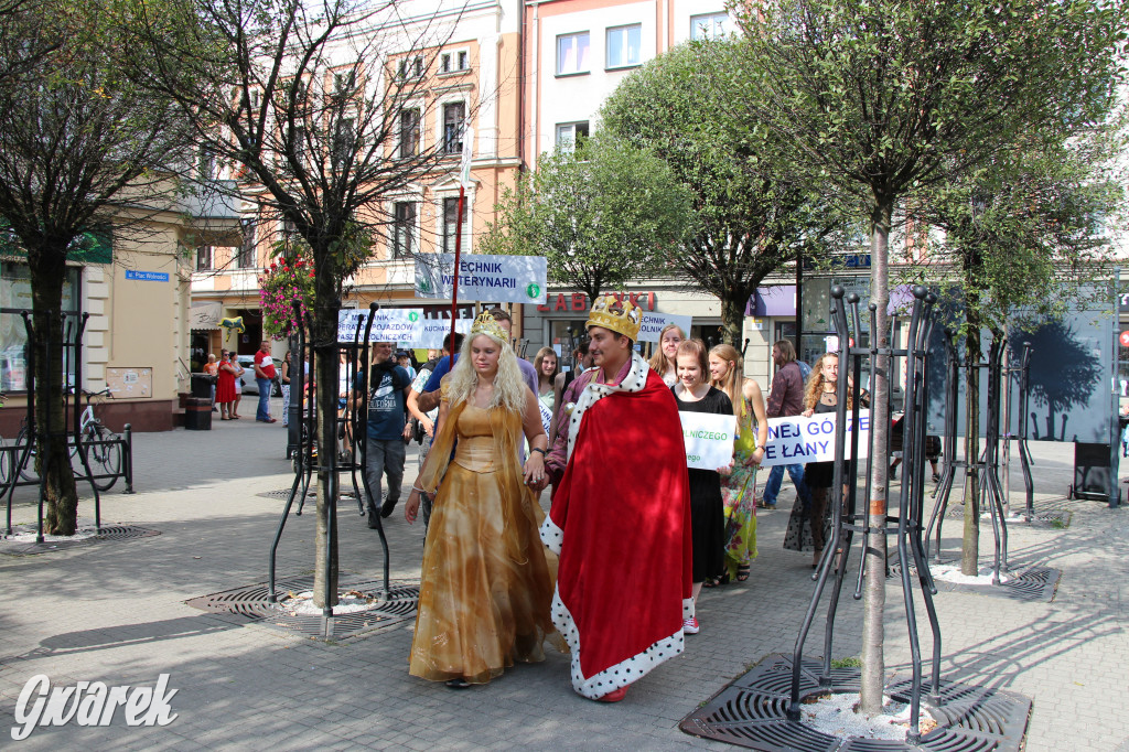 Selfie z Sobieskim zamiast historycznego pochodu