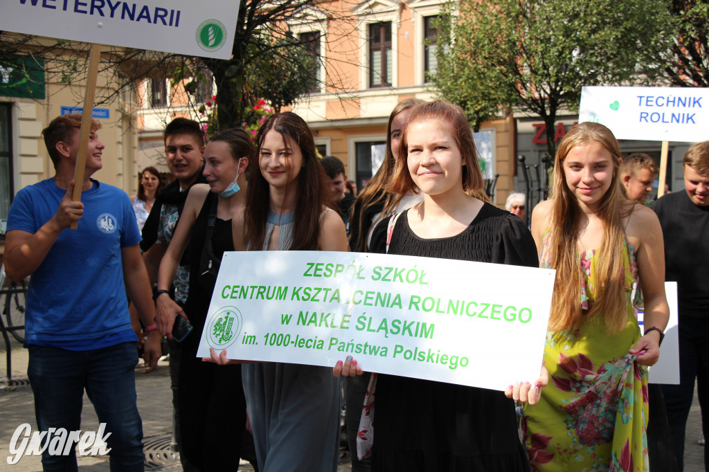 Selfie z Sobieskim zamiast historycznego pochodu