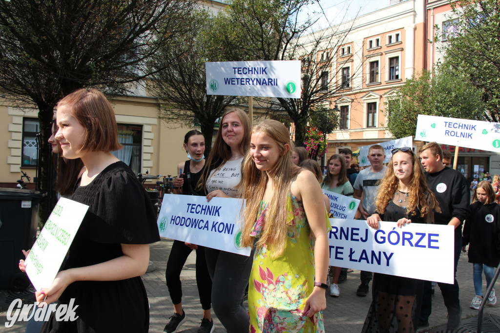 Selfie z Sobieskim zamiast historycznego pochodu