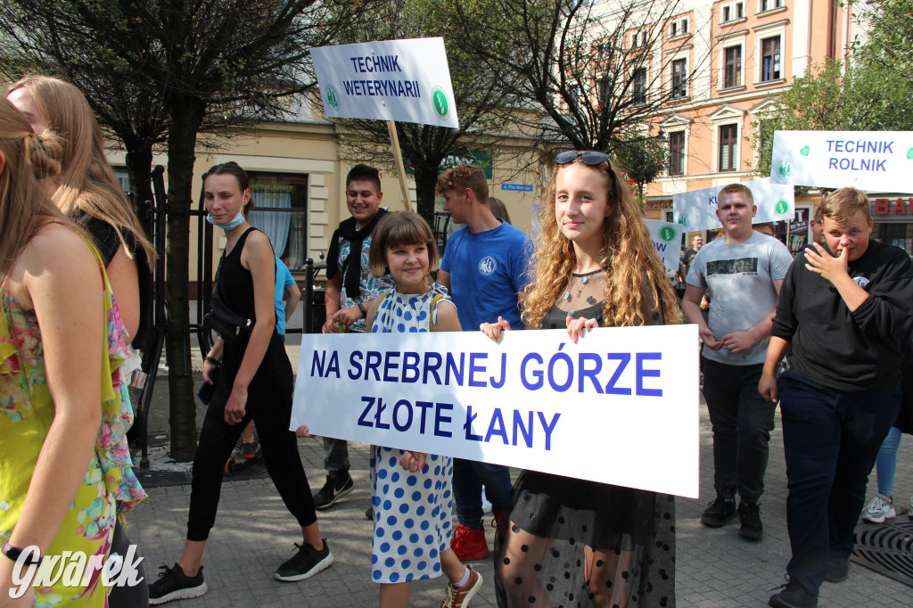 Selfie z Sobieskim zamiast historycznego pochodu