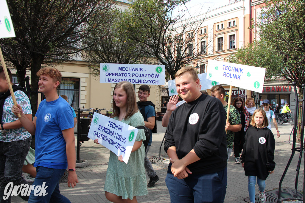 Selfie z Sobieskim zamiast historycznego pochodu