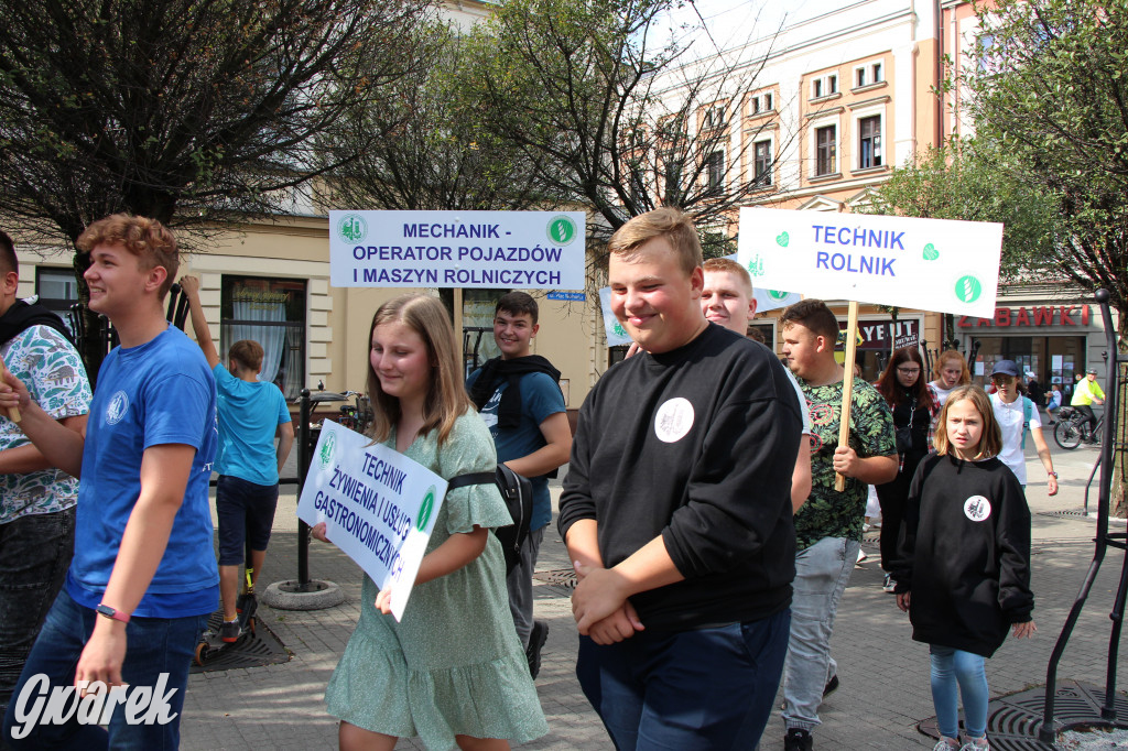 Selfie z Sobieskim zamiast historycznego pochodu