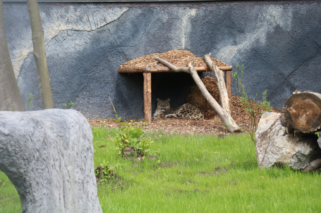 Śląskie zoo - otocjony i inne zwierzaki
