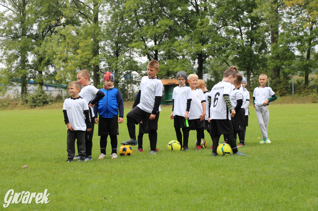 Jedyna na Śląsku działa w Wieszowie