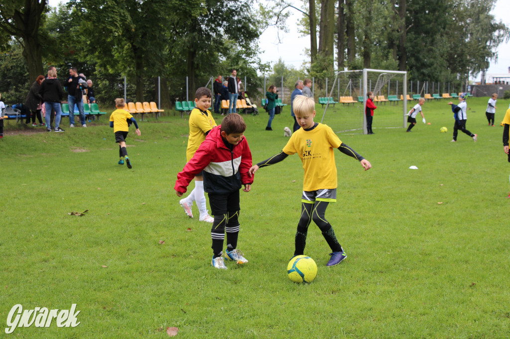 Jedyna na Śląsku działa w Wieszowie
