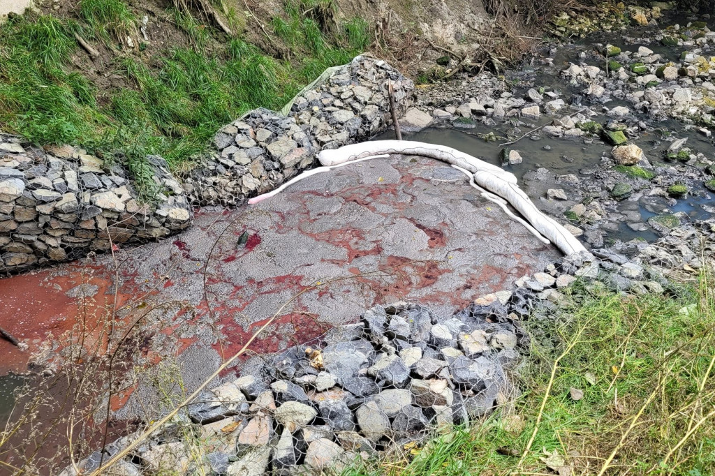 Kto zanieczyścił Potok Starotarnowicki?