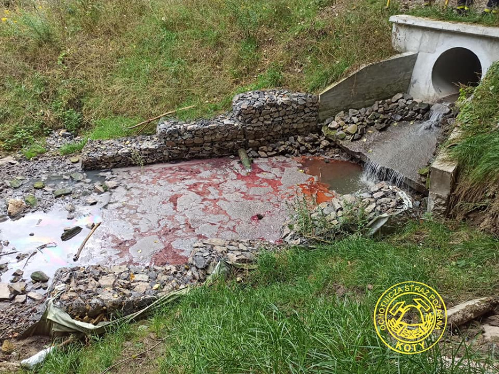 Kto zanieczyścił Potok Starotarnowicki?