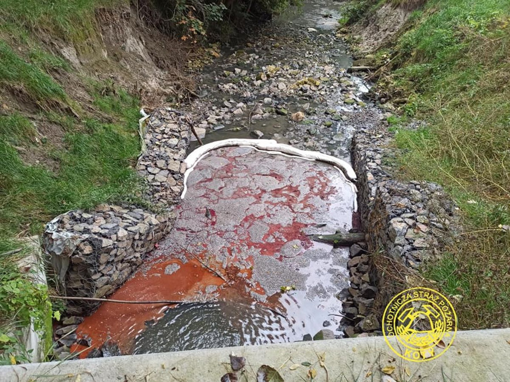 Kto zanieczyścił Potok Starotarnowicki?