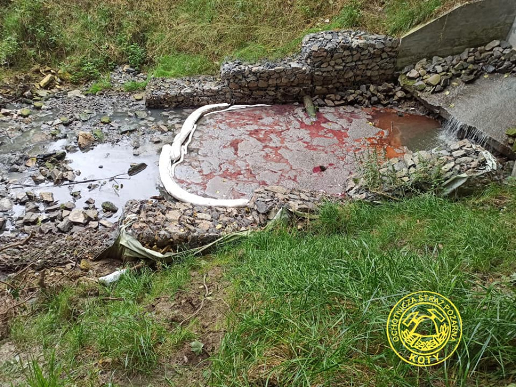 Kto zanieczyścił Potok Starotarnowicki?