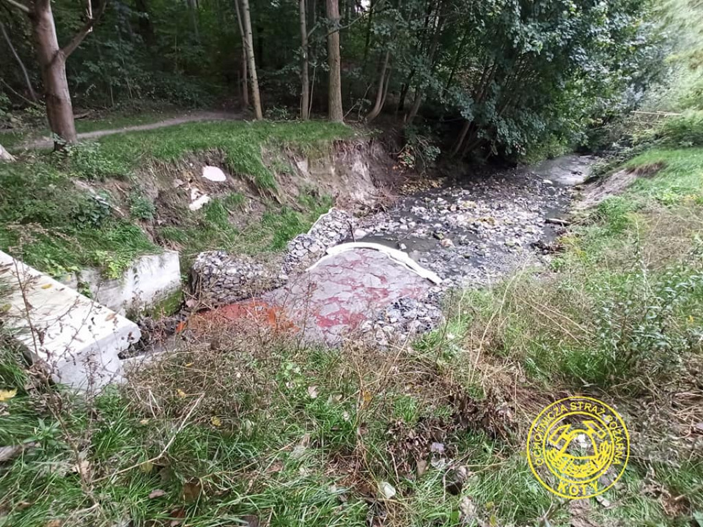 Kto zanieczyścił Potok Starotarnowicki?