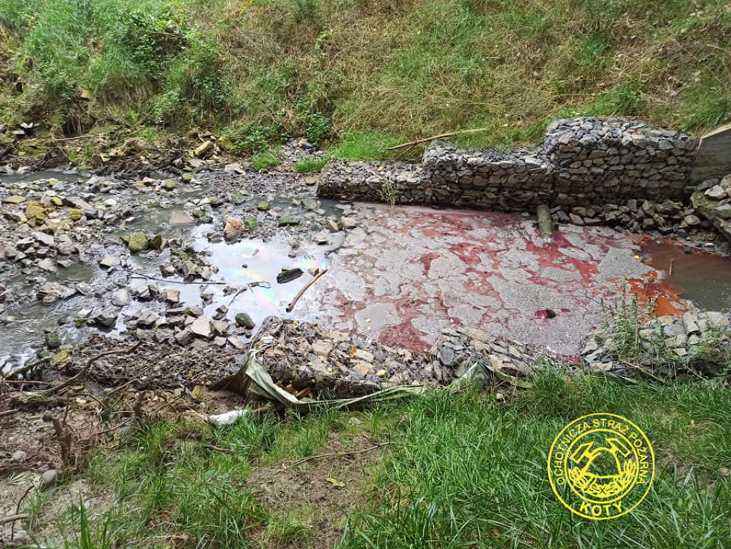 Kto zanieczyścił Potok Starotarnowicki?
