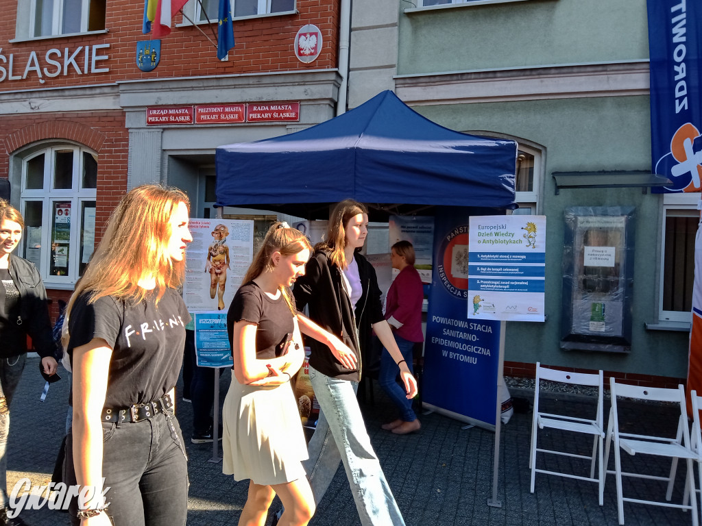 Obchody Dnia Różowej Wstążki