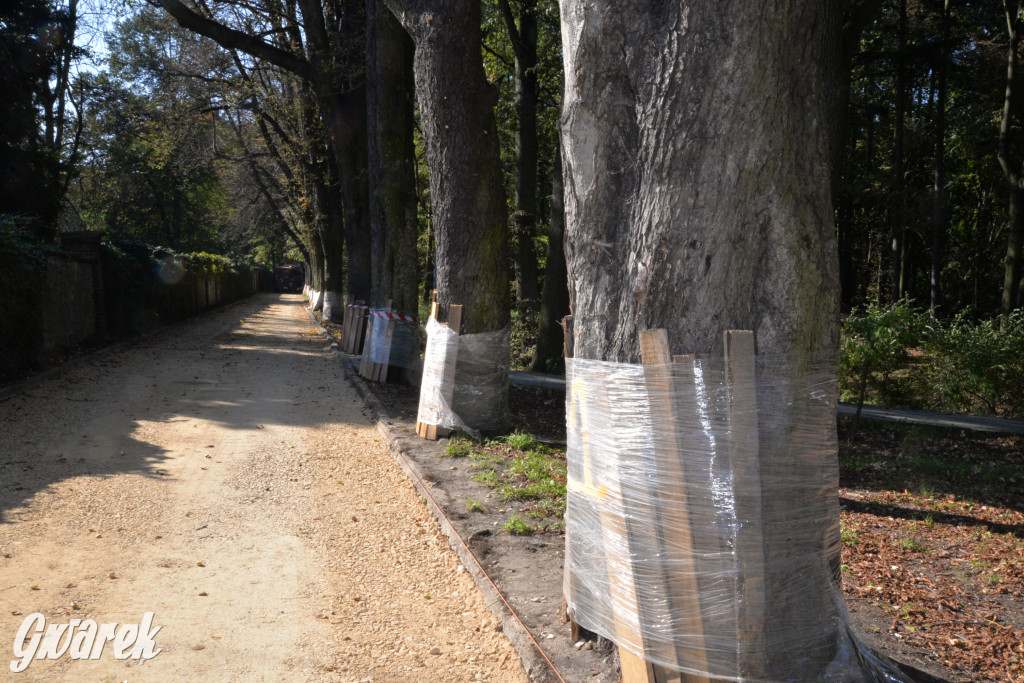 Remont ul. Bałtyckiej w Tarnowskich Górach