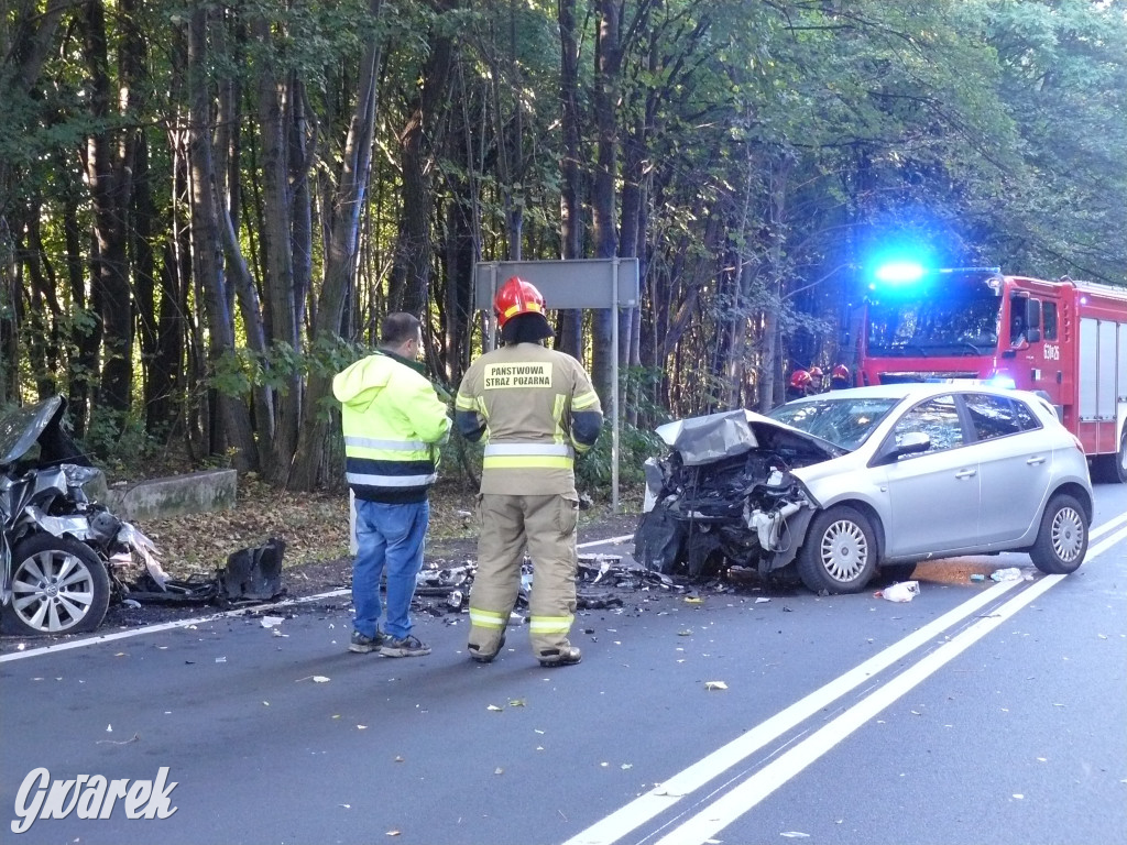 Czołowe zderzenie w Bobrownikach Śląskich