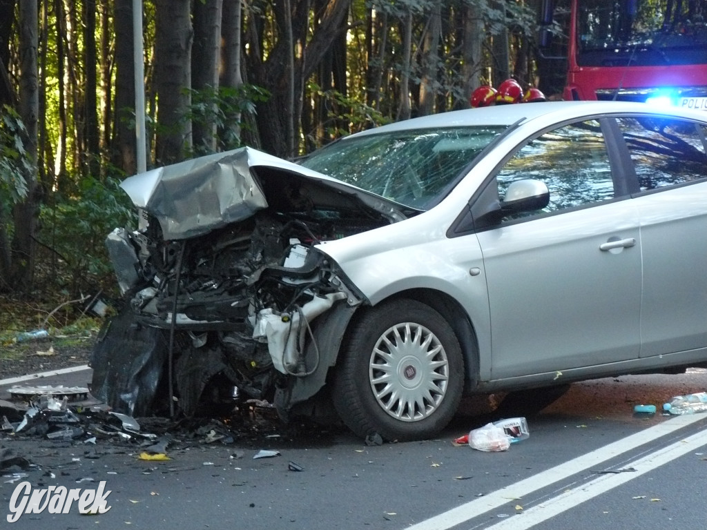 Czołowe zderzenie w Bobrownikach Śląskich