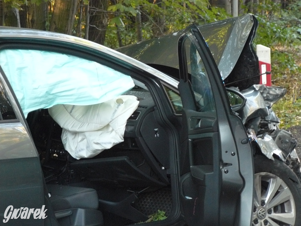 Czołowe zderzenie w Bobrownikach Śląskich