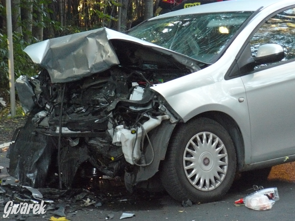 Czołowe zderzenie w Bobrownikach Śląskich