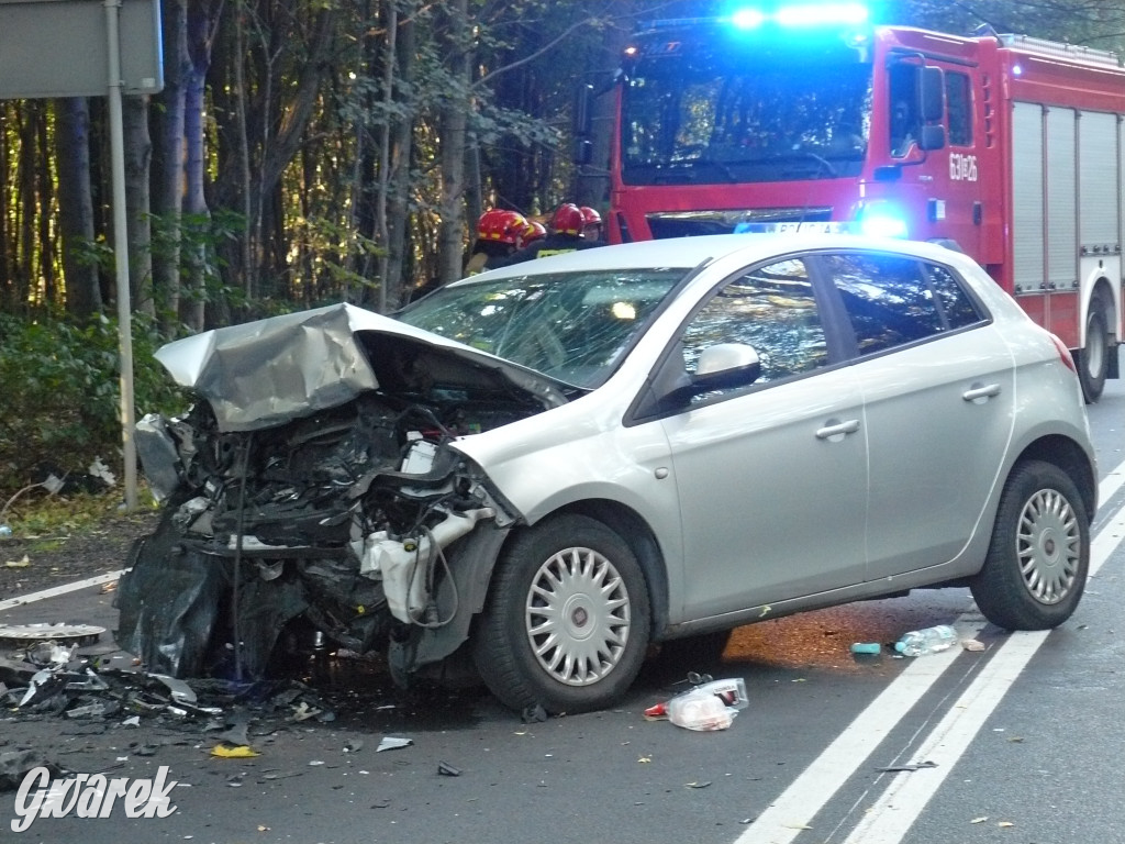 Czołowe zderzenie w Bobrownikach Śląskich
