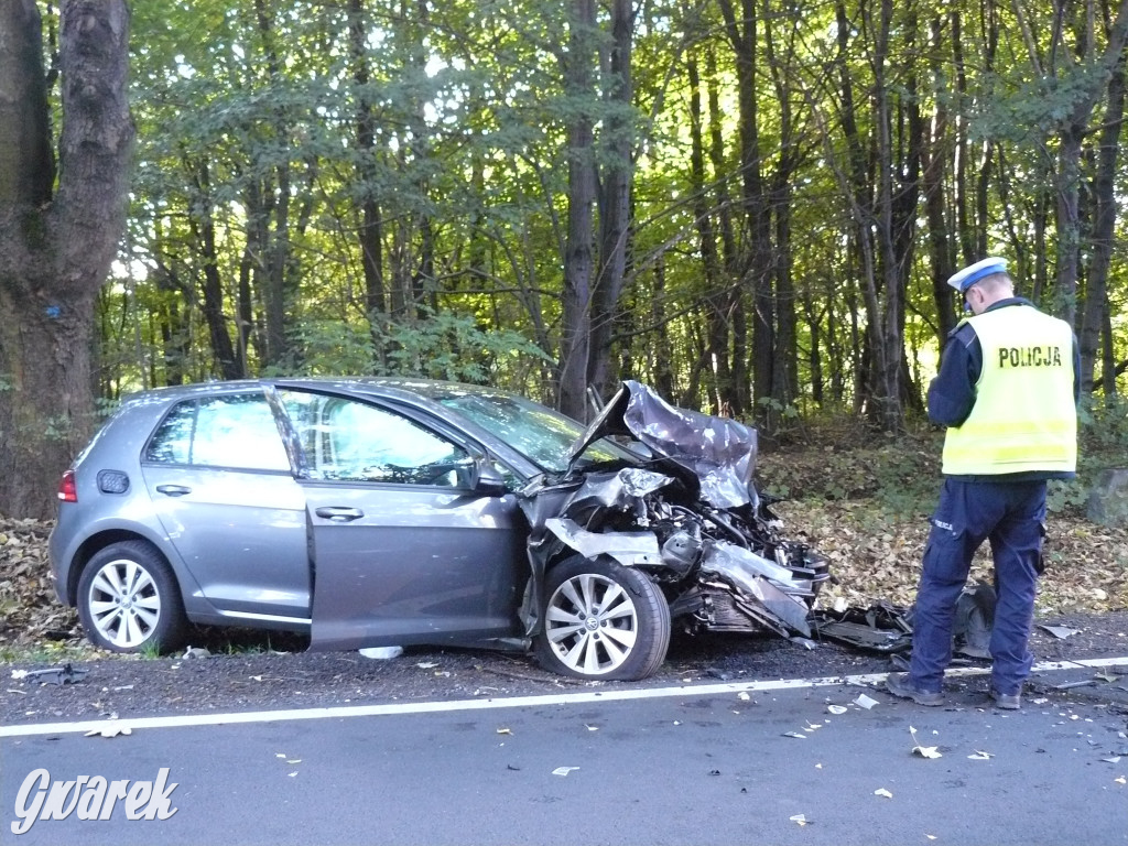 Czołowe zderzenie w Bobrownikach Śląskich
