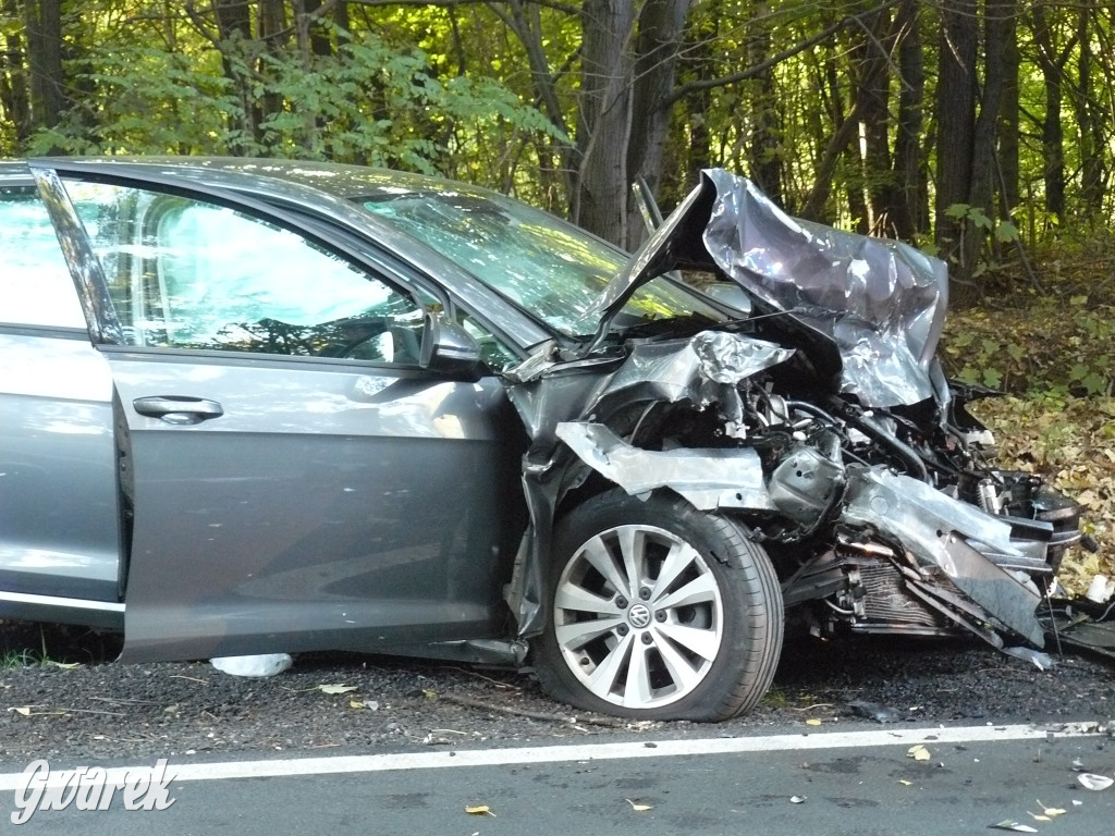 Czołowe zderzenie w Bobrownikach Śląskich