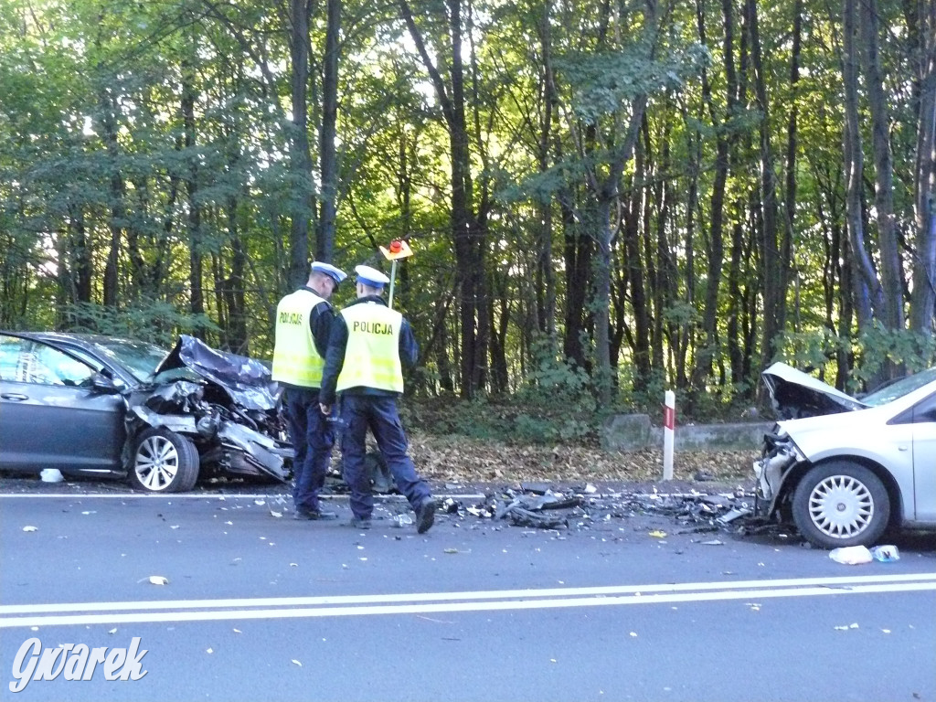Czołowe zderzenie w Bobrownikach Śląskich