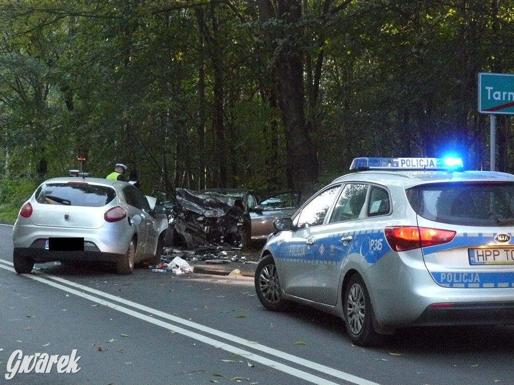 Czołowe zderzenie w Bobrownikach Śląskich