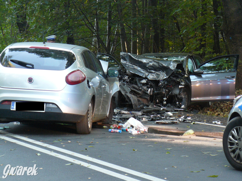 Czołowe zderzenie w Bobrownikach Śląskich