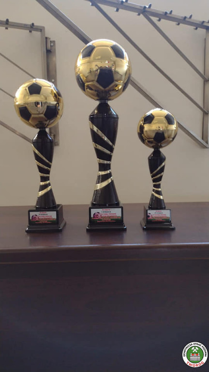 Piłkarski turniej strażaków. Wygrała OSP Potępa