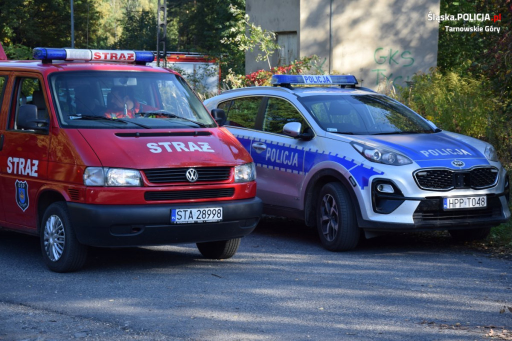 Straż, psy, policja, dron, quady, GOPR. Co działo się w lesie?