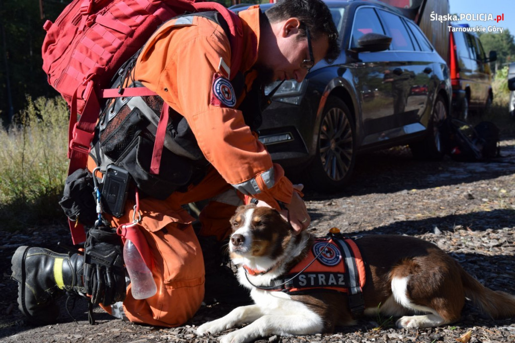 Straż, psy, policja, dron, quady, GOPR. Co działo się w lesie?