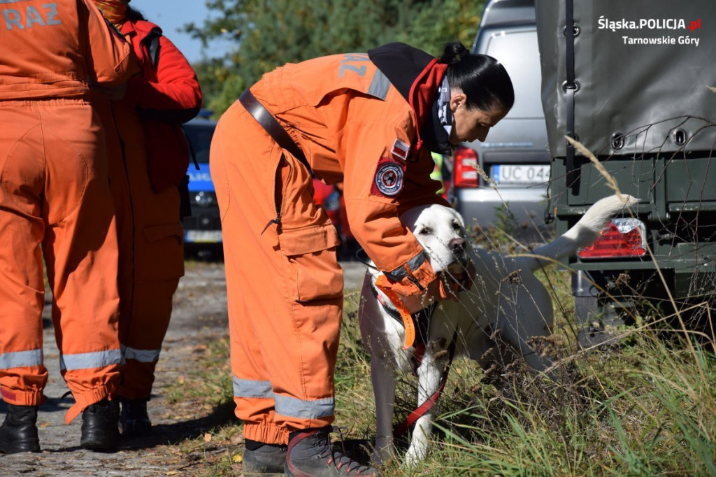 Straż, psy, policja, dron, quady, GOPR. Co działo się w lesie?