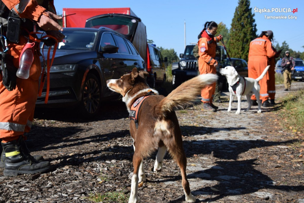 Straż, psy, policja, dron, quady, GOPR. Co działo się w lesie?