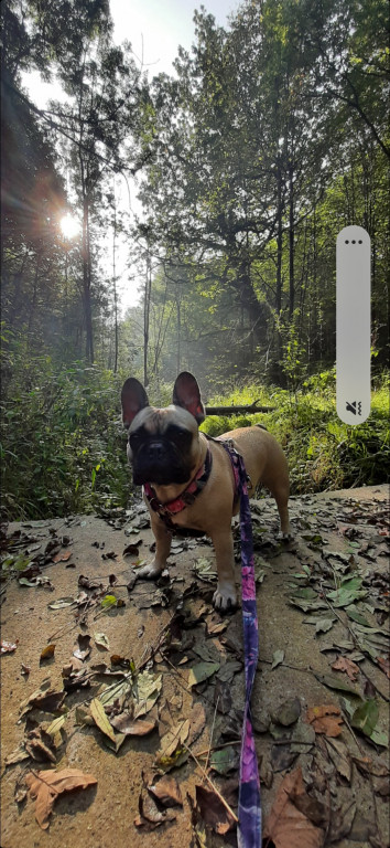 Plebiscyt Gwarka Superzwierzaki w obiektywie