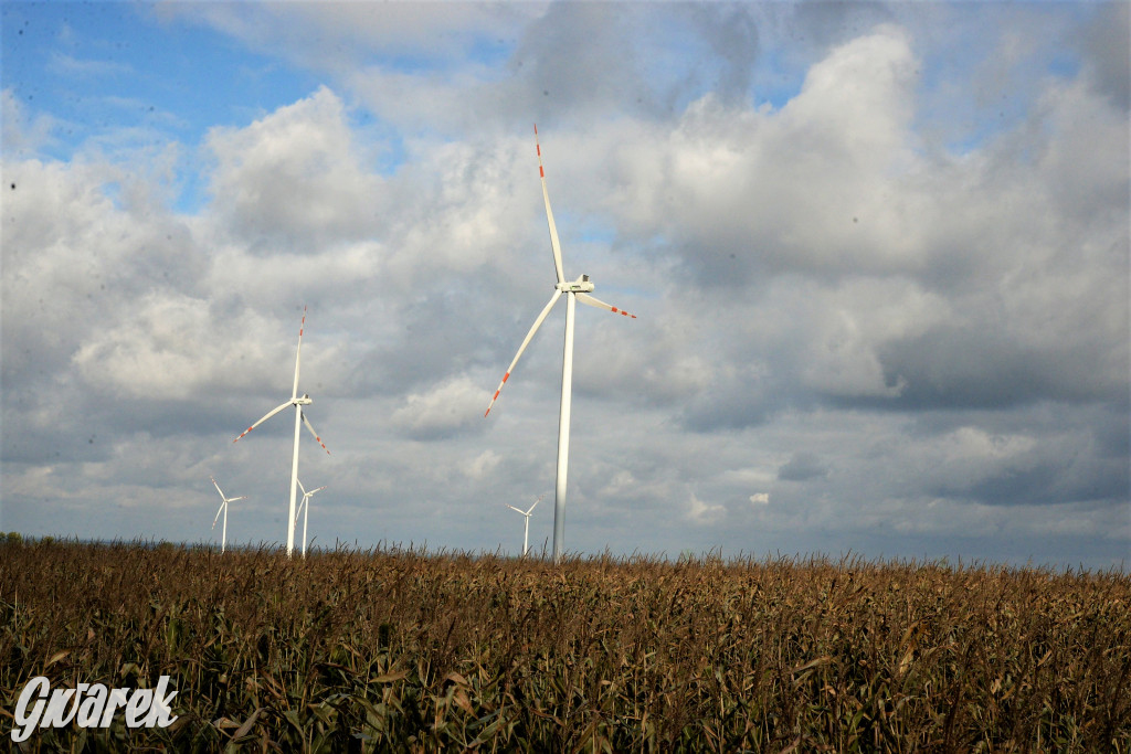 Tarnowskie Góry i wiatraki na horyzoncie