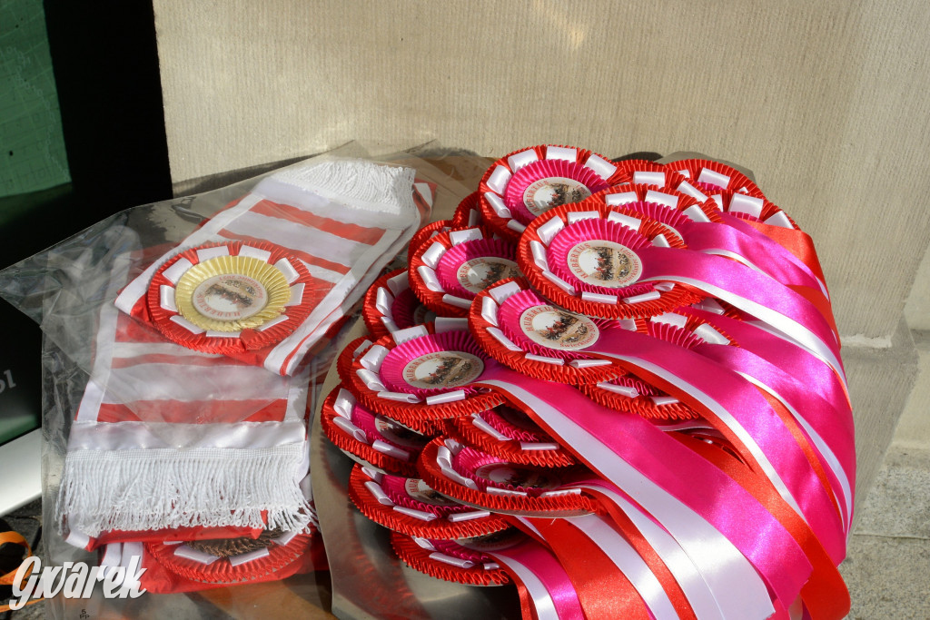 Hubertus 2021 w Świerklańcu