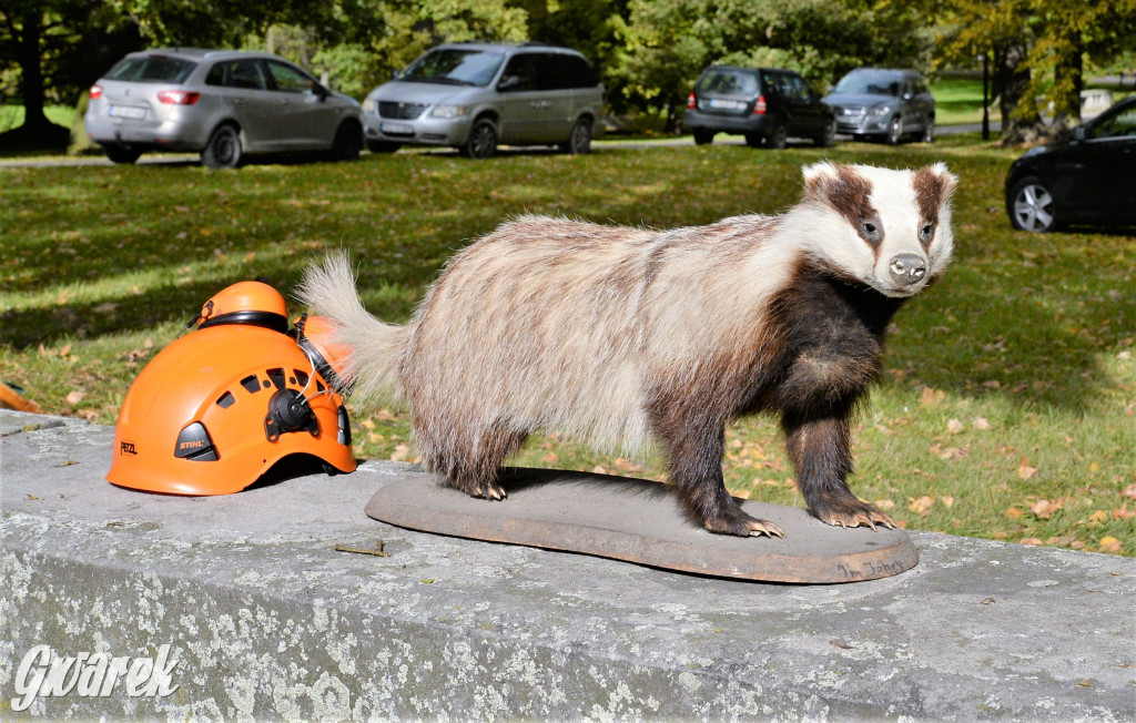 Hubertus 2021 w Świerklańcu