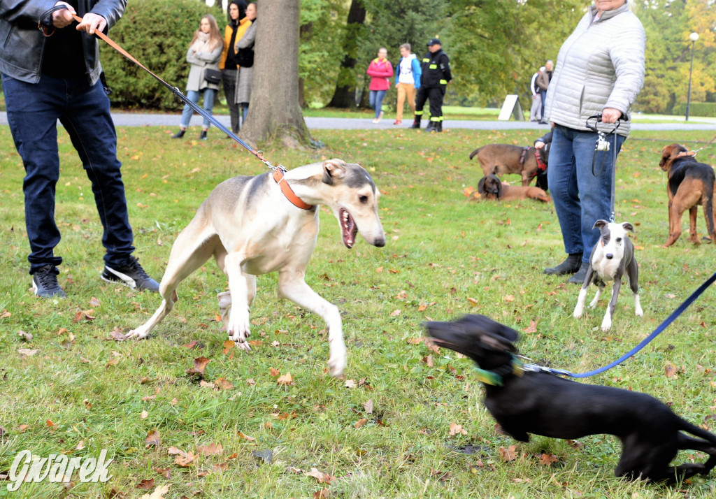 Hubertus 2021 w Świerklańcu