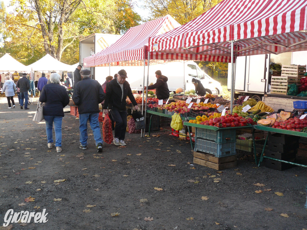Tarnowskie Góry, targowisko. Po ile znicze?